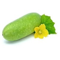 LAVENDERMART GOURD VEGETABLES WAX GOURD BIG (CHAL KUMRA) PER PC
