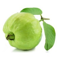 LavenderMart Guava (Local Thai Type)